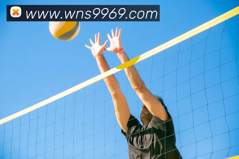 澳门威尼斯人网页APP 封面图